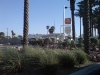dsc00066-_small_.jpg